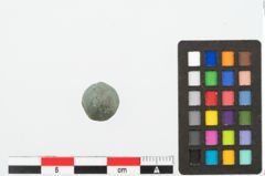 Foto von Bronzeniet (NHMW-PRAE-078070)